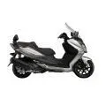 JOYMAX 250