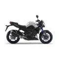 FZ 8