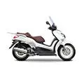 X-CITY 250